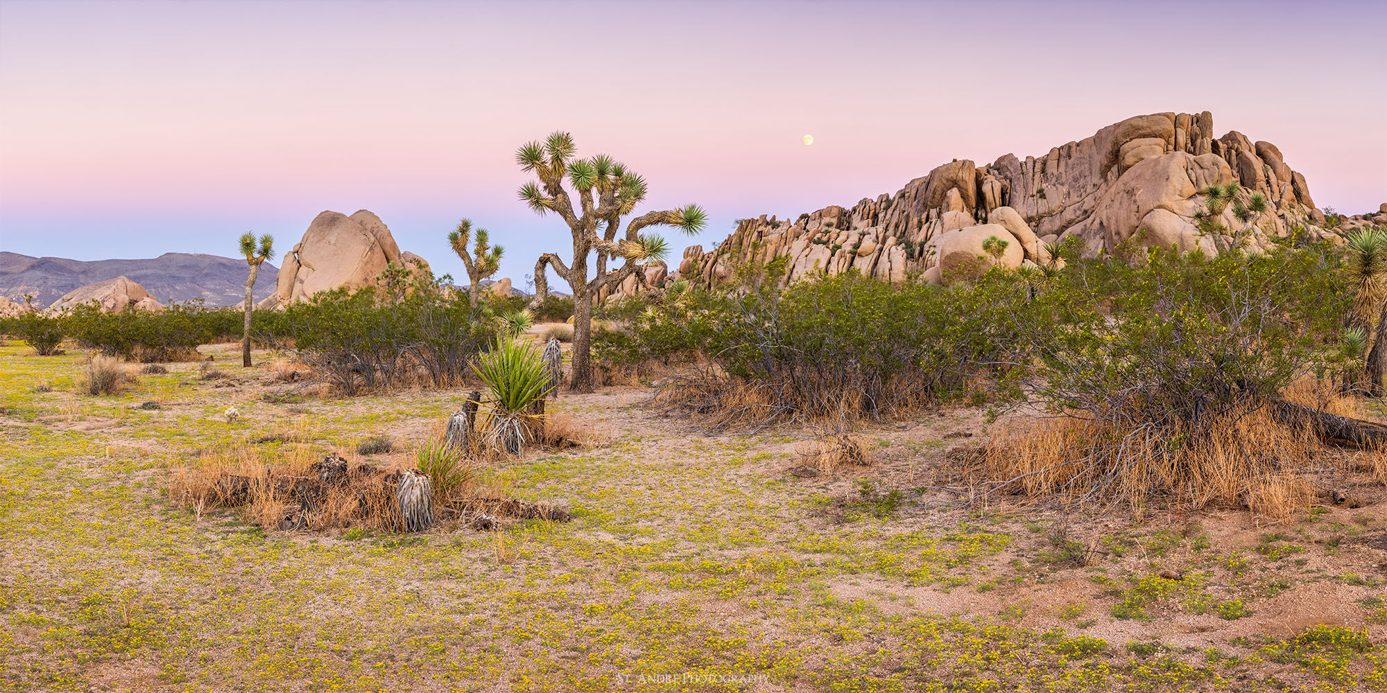 Joshua trees in a desert filled with desert plants and fields of small yellow flowers. Large stone structures in the background and a full moon rises above it. 