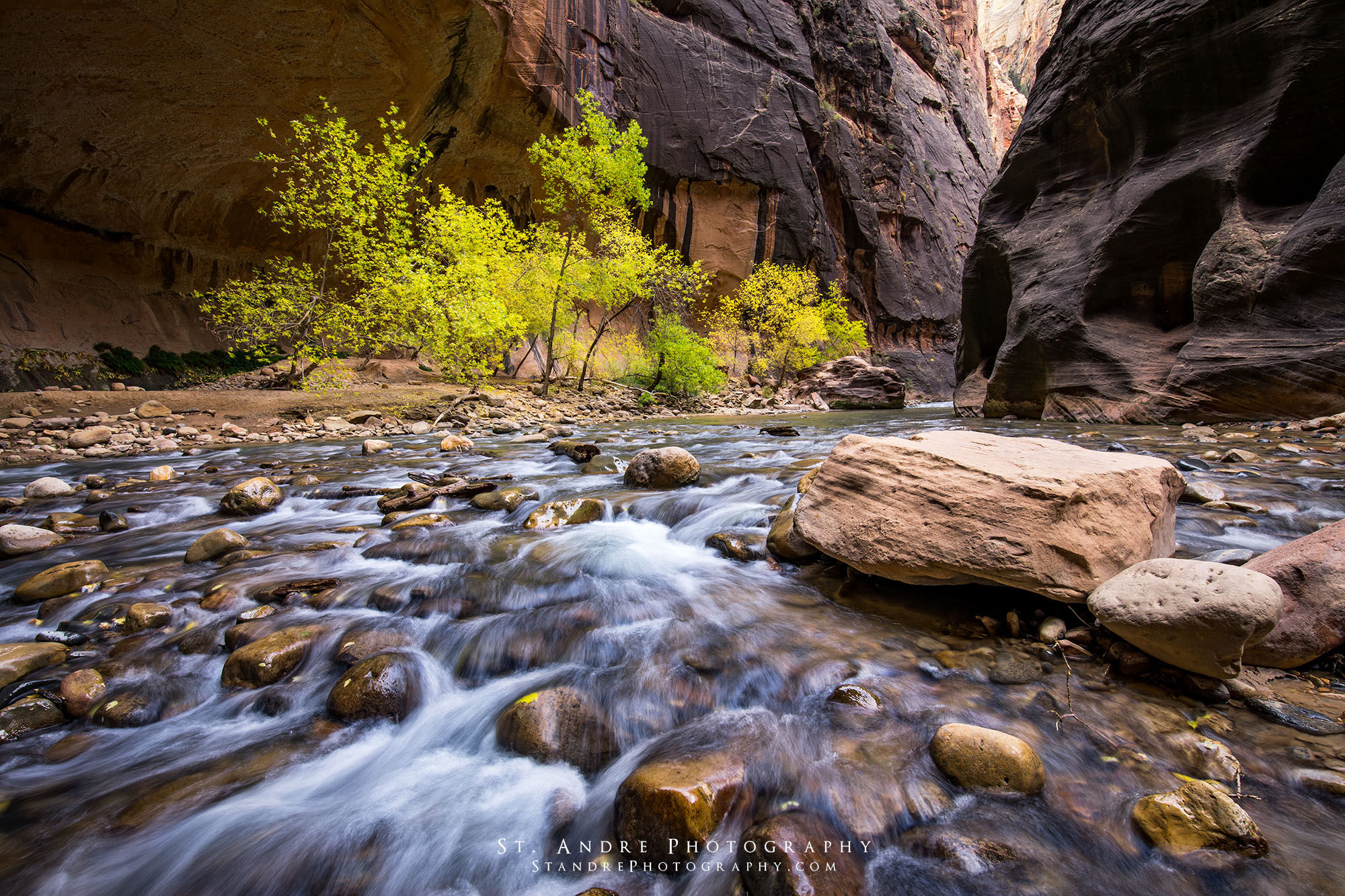 Zion Narrows with the virgin river cascading over rocks. Trees in full fall colors can be seen in the background. 