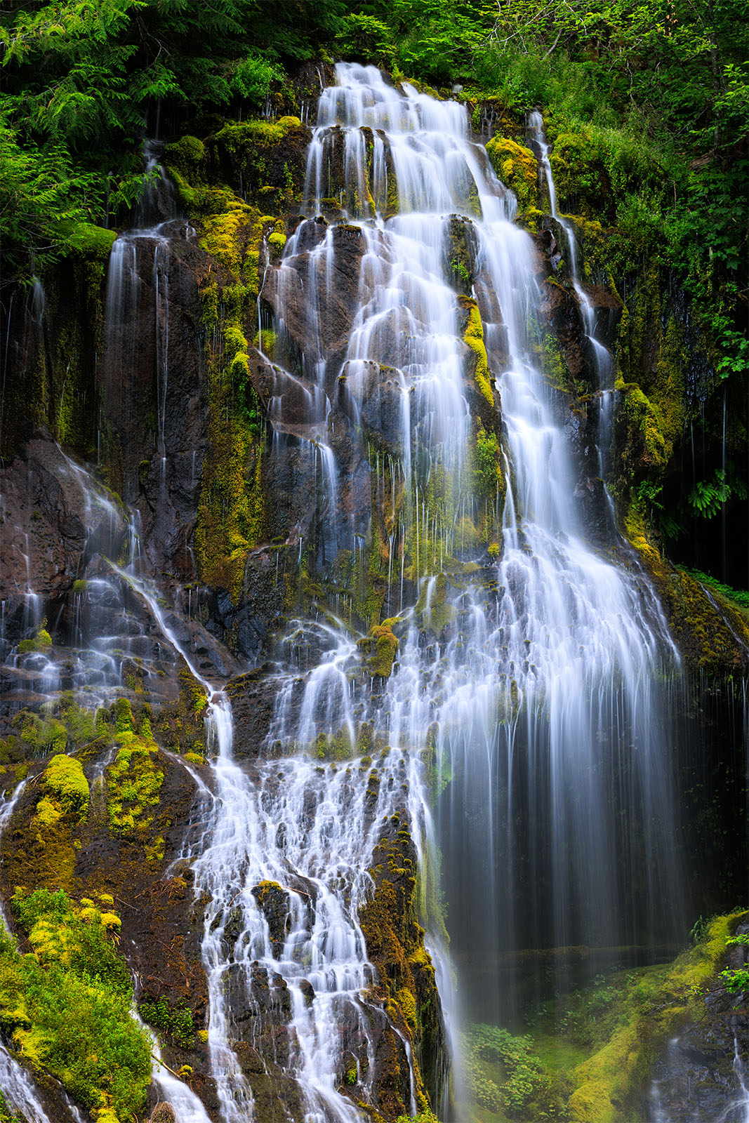 A verdant waterfall in Washington, with cascading water and green plant life growing everywhere. 