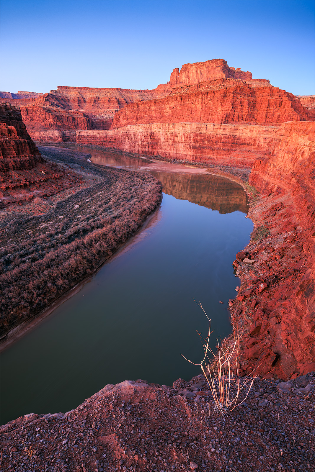 Peace On The Colorado River The Colorado river flowing through red rock cliffs at sunrise in canyonlands national park. Early morning glow is lighting the cliff faces.