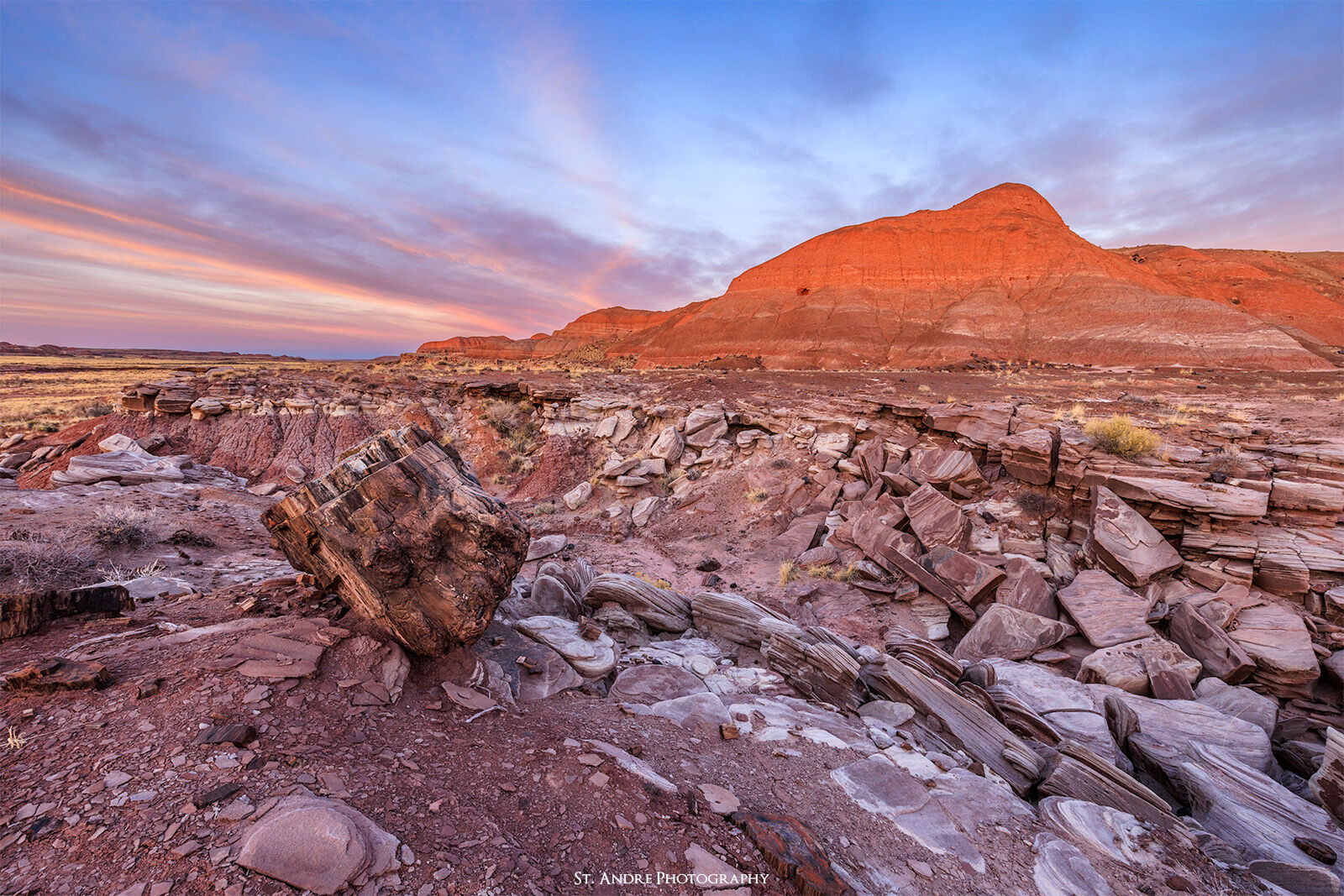 A large chunk of petrified wood sits on the edge of its demise as the earth erodes around it. The large fin like hills surround...