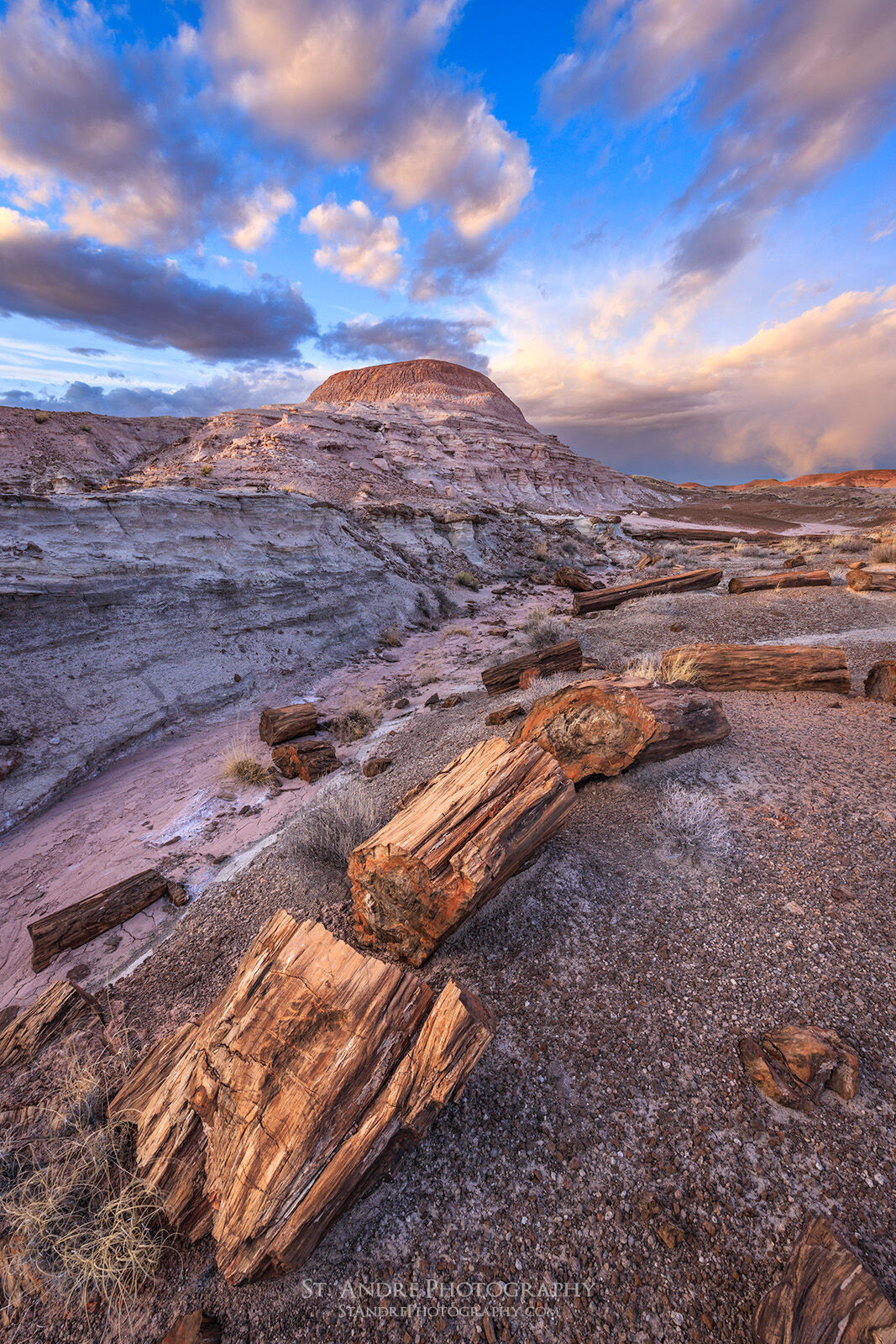 A petrified log as the foreground leads viewers to a large dome of earth in the distance.