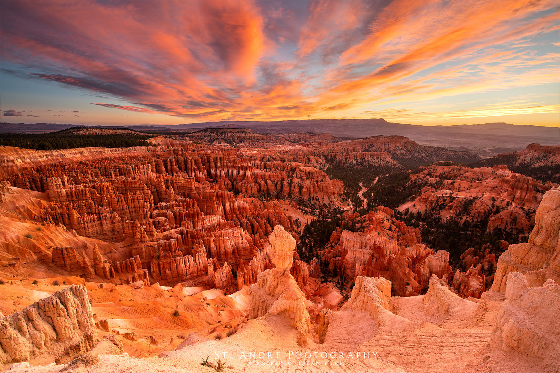 Orange and red clouds lite up the sky above byrce canyon with hoodoos lit up with pre-dawn light. One large hoodoo stands out in the middle. 