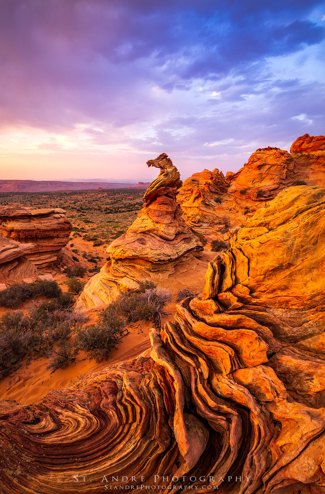 The sea horse hoodoo within the vermillion cliffs national monument within Coyote buttes south. 