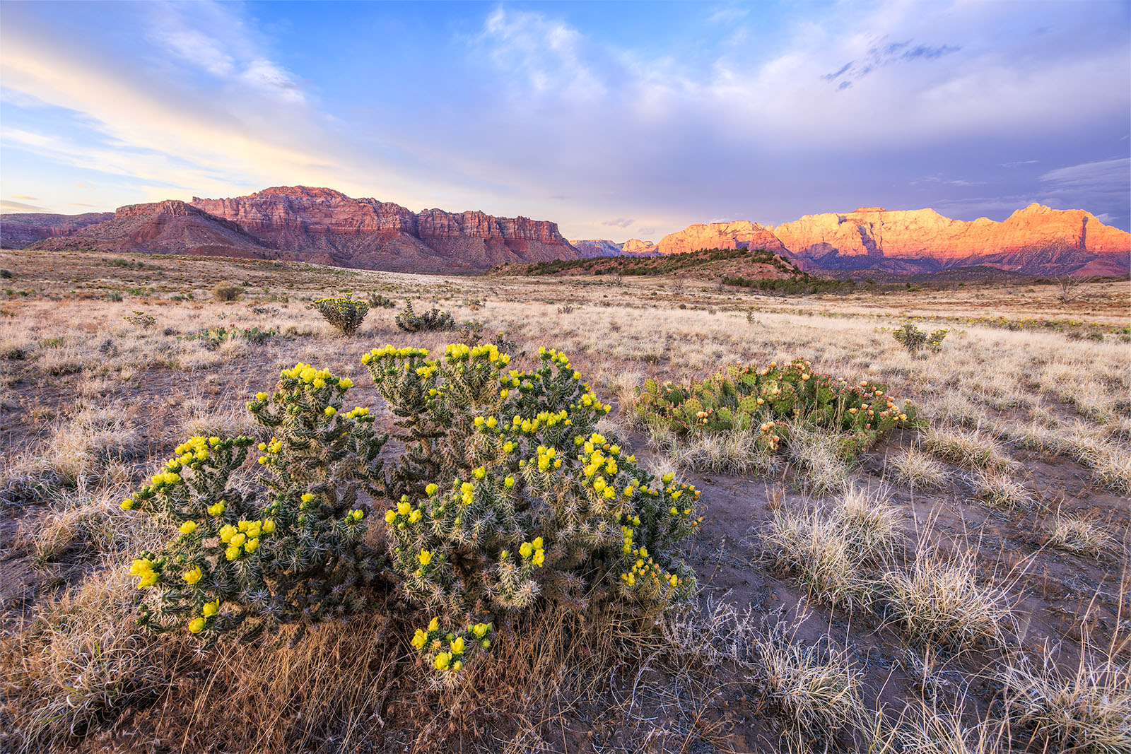 Seeing in Contrast | Nathan St. Andre Photography, image size:1600x1067