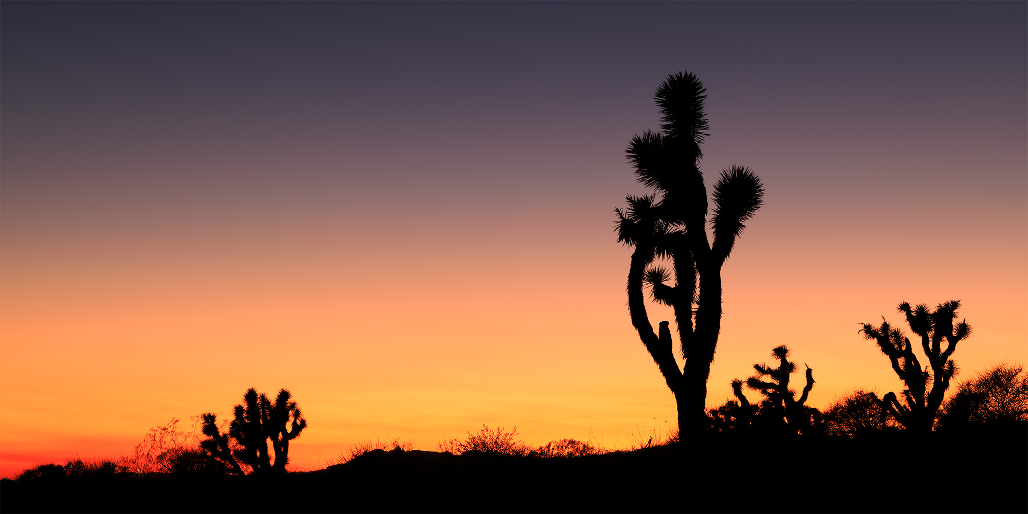 The Mojave Desert A dusky scene of the Mojave Desert.