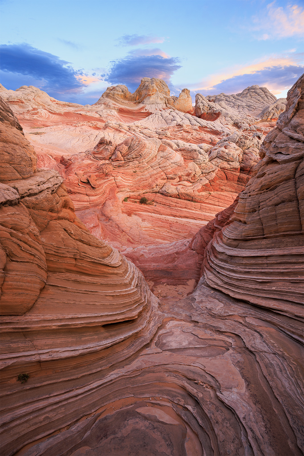 Fairy Ice Cream Swirl The white rocks of white pocket and mingled with striped rocks and swirls of color.