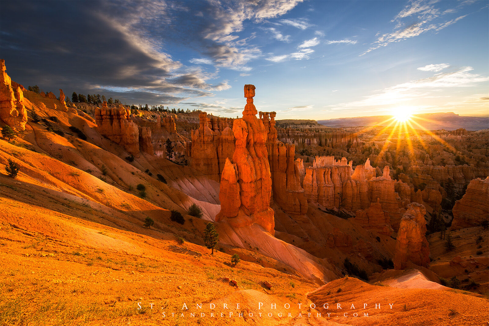A large hoodoo is in the middle of the image. The hoodoo is Thor's Hammer in Bryce Canyon National Park in southern Utah. 