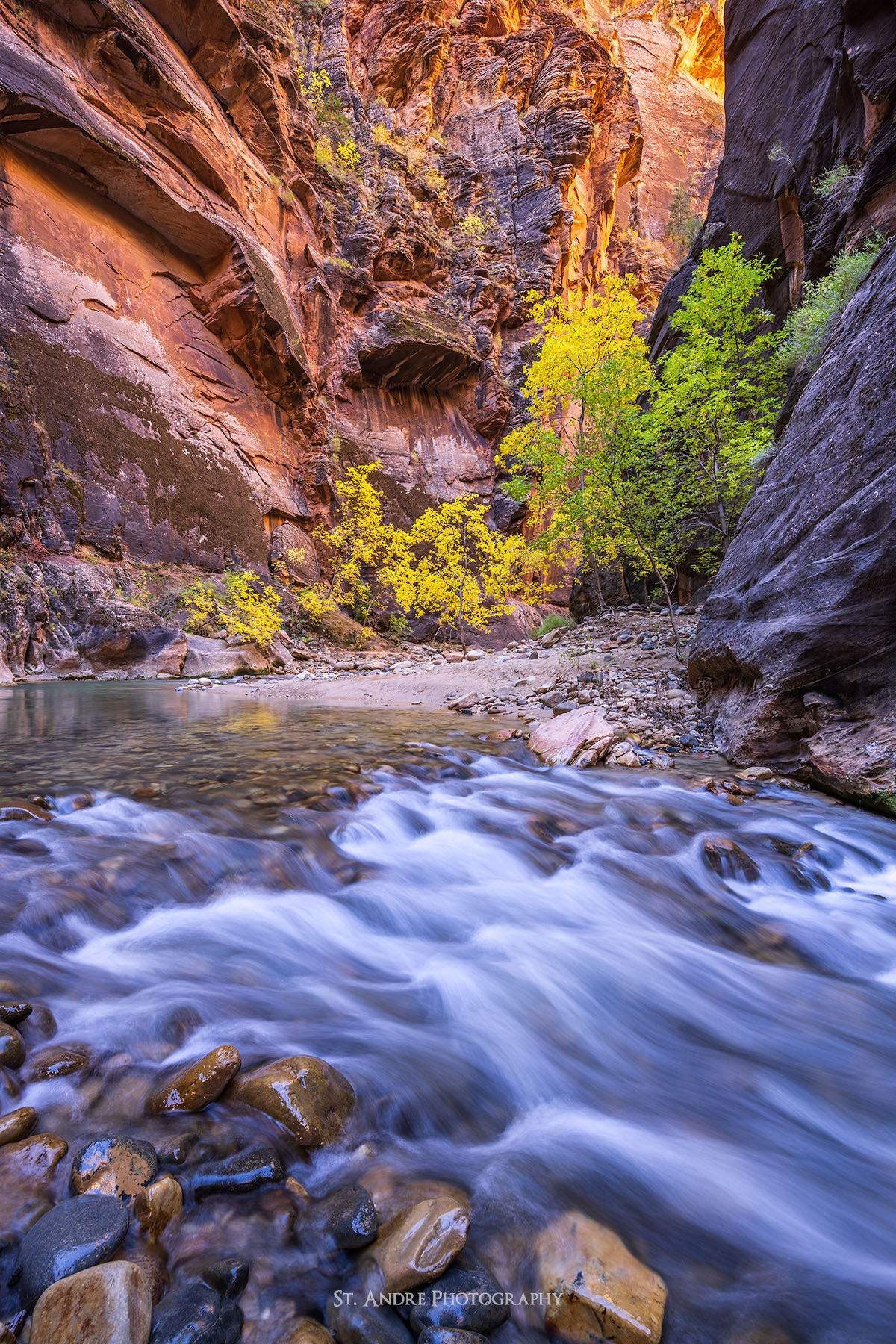 Zion narrows with fall colored trees with the virgin river flowing through the canyon. 