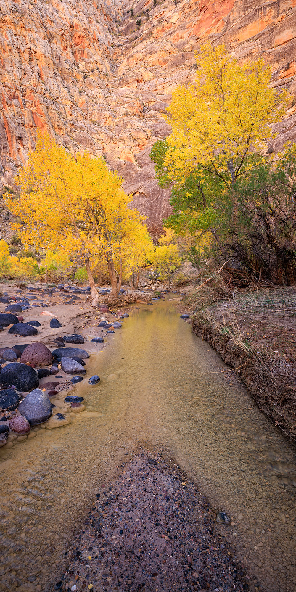 Two Rivers Merge A tall vertical highlighting a river merging to one again, with bright fall colors guiding you deep into the photo.