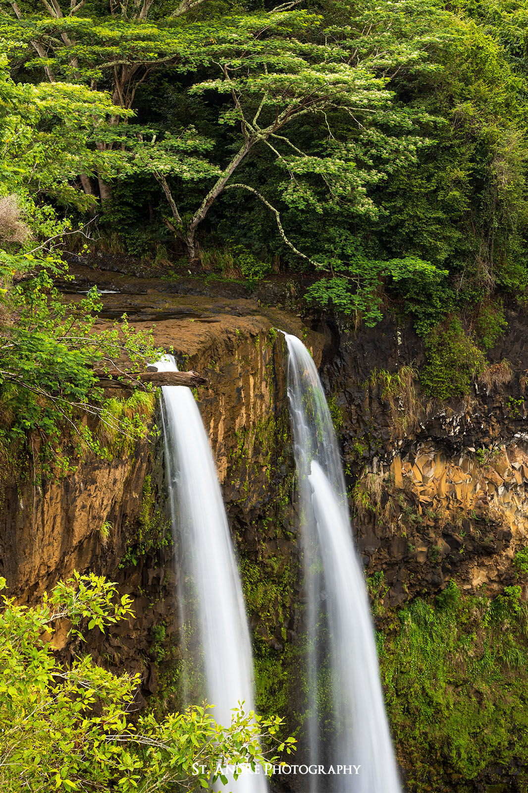 Wailua Falls is a double waterfall cascading off a cliff into a deep canyon below. 