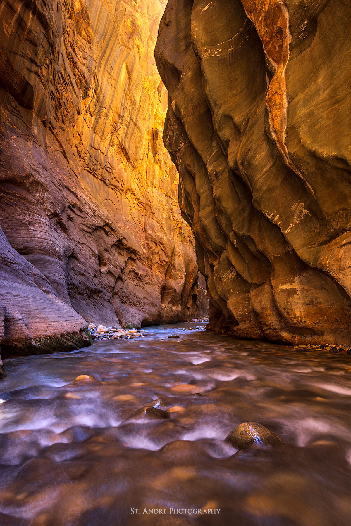 The Wall Street of Zion National Park, Sheer cliff walls rise to the top of the image with the virgin river flowing through the canyon. 