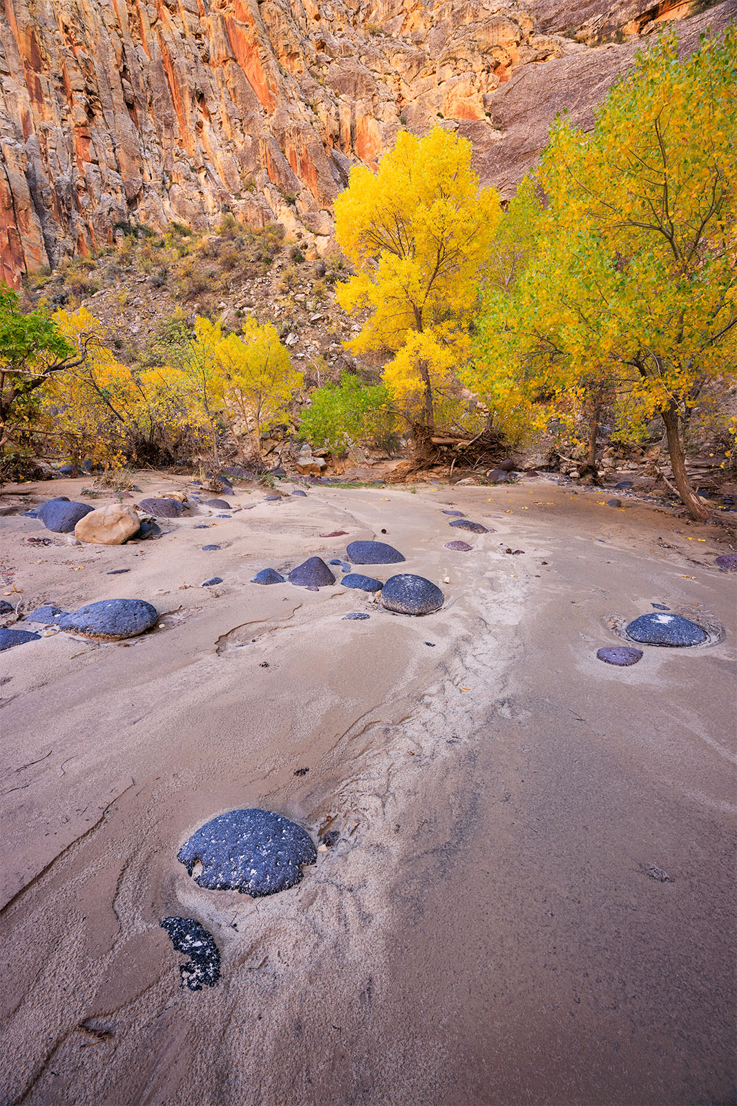 Water Whispers Every year I spend a few days in the canyons of Escalante. Every year I do so I notice the evidence of floods. This year was...
