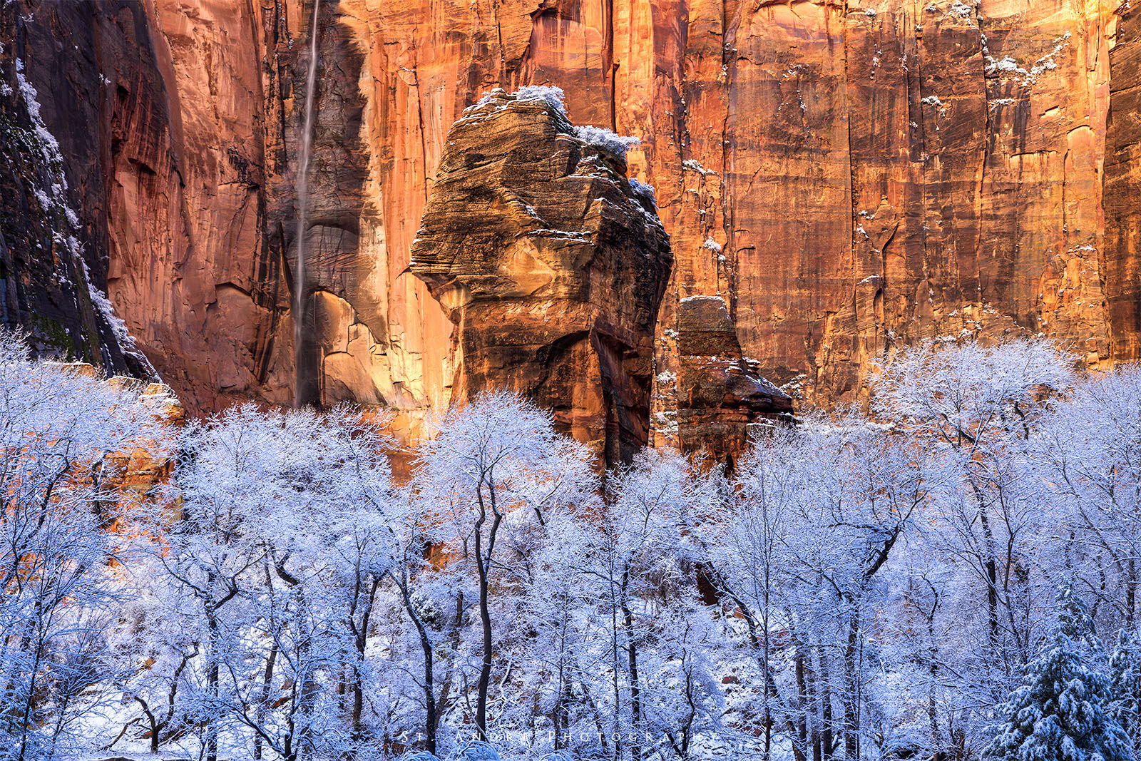 The temple of sinawava in Zion National Park. The cottonwood trees are covered in snow and the waterfall is going in the background. 