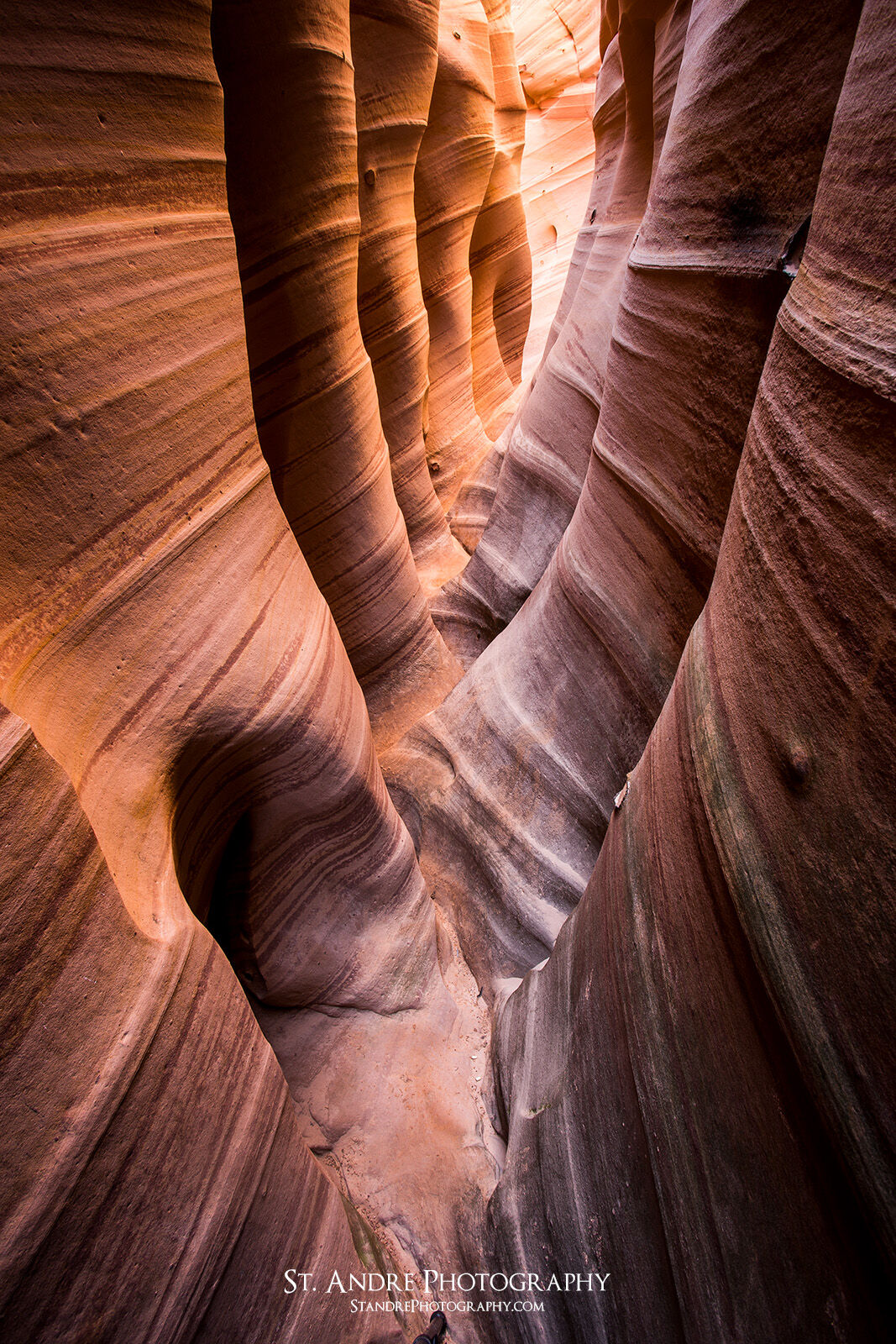 Zebra slot canyon with a warm glowing light. Photographed in Escalante, in Southern Utah